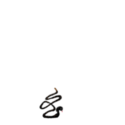 inscription 04dca0d83d5a42e6faf20ba08d49e58872fcd935d3a4935b6f5d41652cf005eci0