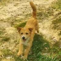 inscription 5b95f1fb3df7f0948940b10243fcd4606b053f97e55e074c8f8ae383dd67cf4fi0