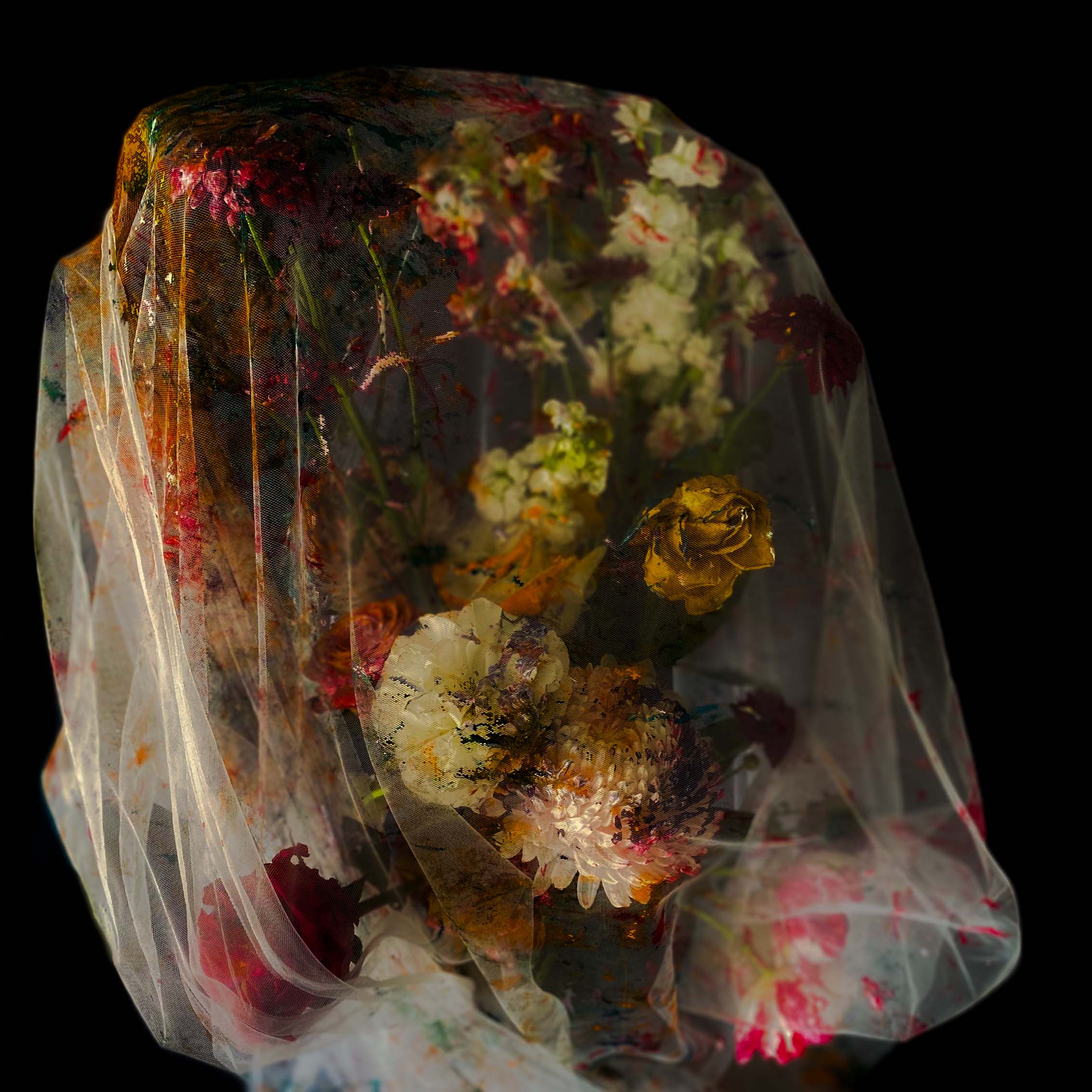 inscription 62aefe27fd00f8cfcfb5e97057f02e91a3736309053c19dcff07fe23e6eae94bi0