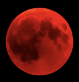 inscription a88d9f268f2c8f2428c4f809b192559b67d6fd57d897e449f255a623e45bca5ei0