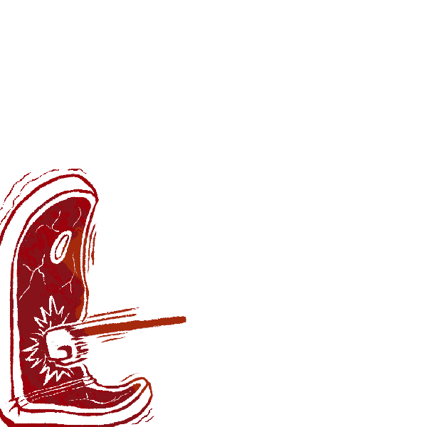 inscription b97289a8ee64cd9d6c94bda17a64884285ed03e76a4e577cf23aae5c879b92f5i2