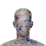 inscription c2f6fbef7d8af212d64d74869c8d60a90dc2e8928f6bbb11c2d070faa39df38fi0