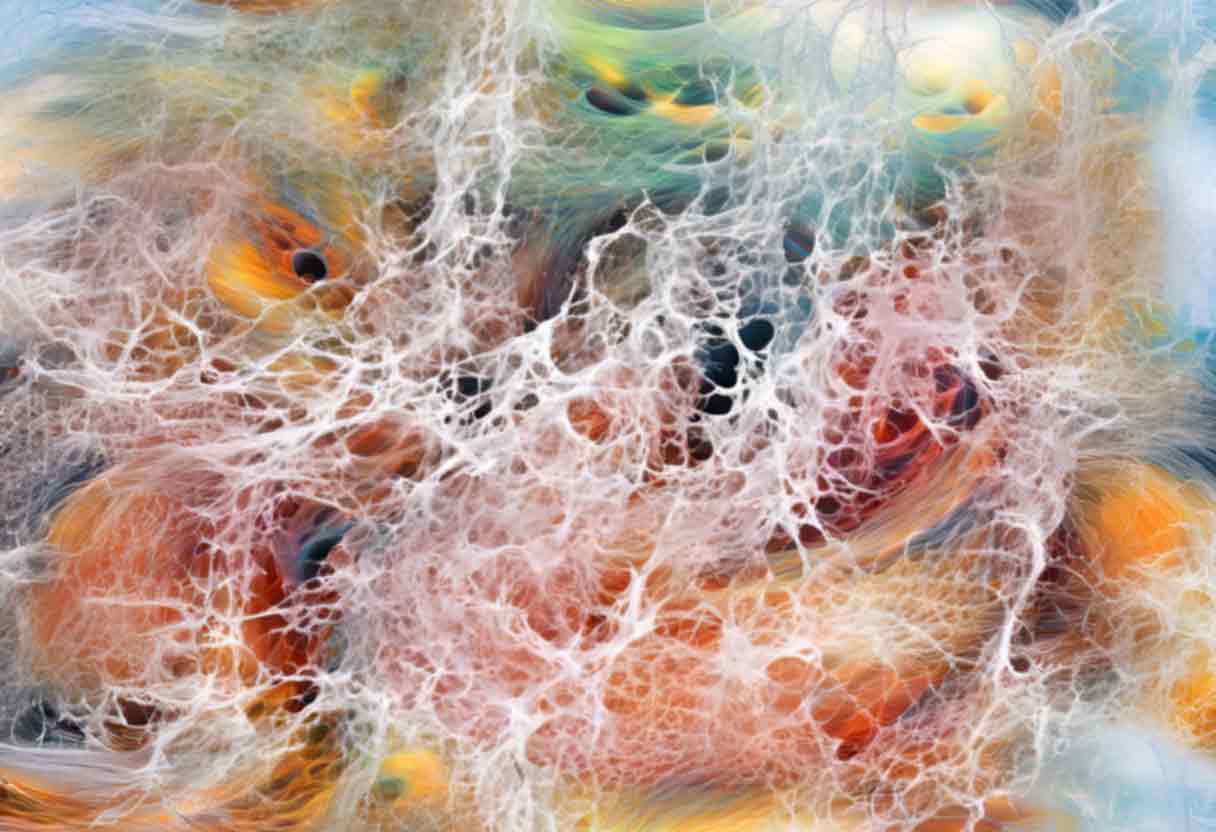 inscription fff19b9680d27c682c7df108ff85587bbadc20cdf9df84d17edf666f09c4adf9i1